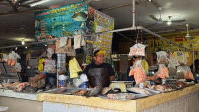 regreso a clases reduce hasta 40% las ventas de pescado en el mercado lucas de gálvez
