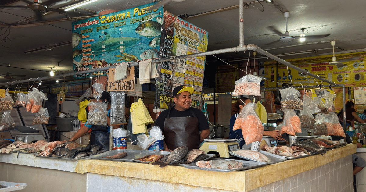 regreso a clases reduce hasta 40% las ventas de pescado en el mercado lucas de gálvez