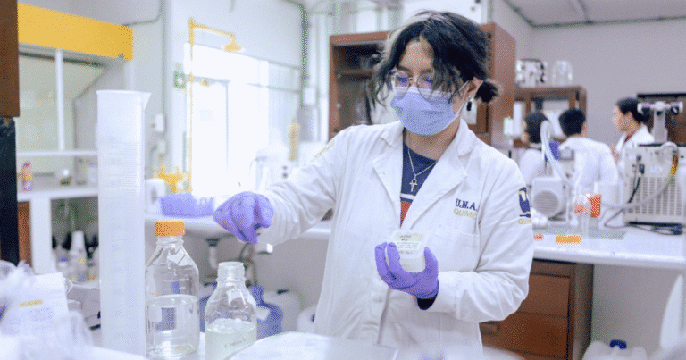 renacimiento maya impulsa 28 proyectos de investigación e innovación en yucatán