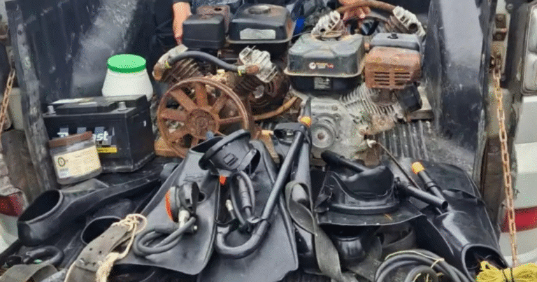 ssp detiene a pescadores furtivos de campeche en dzilam de bravo, yucatán