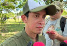 trabajan en cabildo nueva regulación para las calesas en mérida