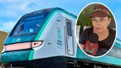 Experiencias en el Tren Maya: viajeros locales y extranjeros relatan su recorrido