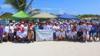 voluntarios limpian 499 kilos de residuos en puerto san crisanto chabihau, yucatán