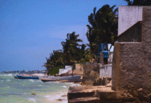 yucatán busca recuperar sus playas frente al avance de la erosión