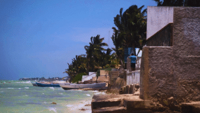 yucatán busca recuperar sus playas frente al avance de la erosión