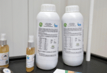 yucatán inaugura planta que convierte sargazo en biofertilizantes y alimento para animales