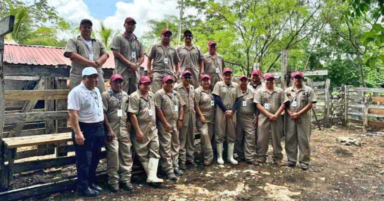 yucatán intensifica control del gusano barrenador para proteger al ganado