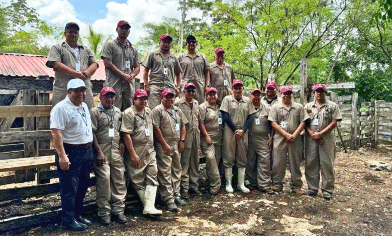 yucatán intensifica control del gusano barrenador para proteger al ganado