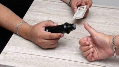 yucatán, líder nacional en participación ciudadana