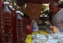 yucatán mantiene su producción de miel de calidad