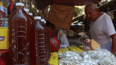 yucatán mantiene su producción de miel de calidad