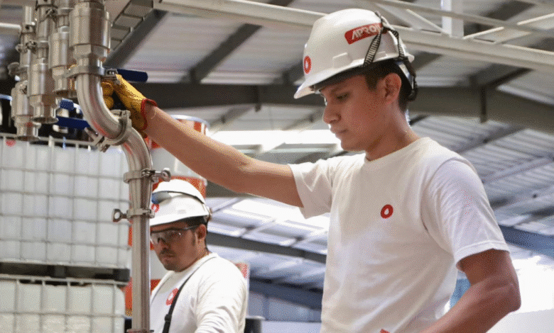 yucatán perfila un gran cierre económico en 2025