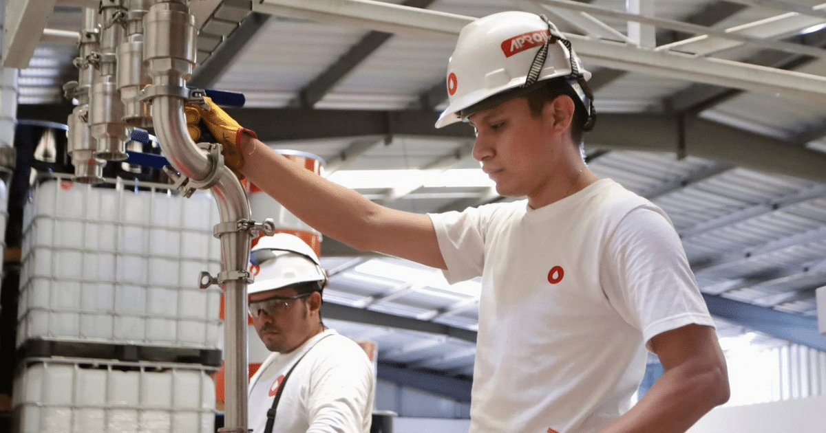 yucatán perfila un gran cierre económico en 2025