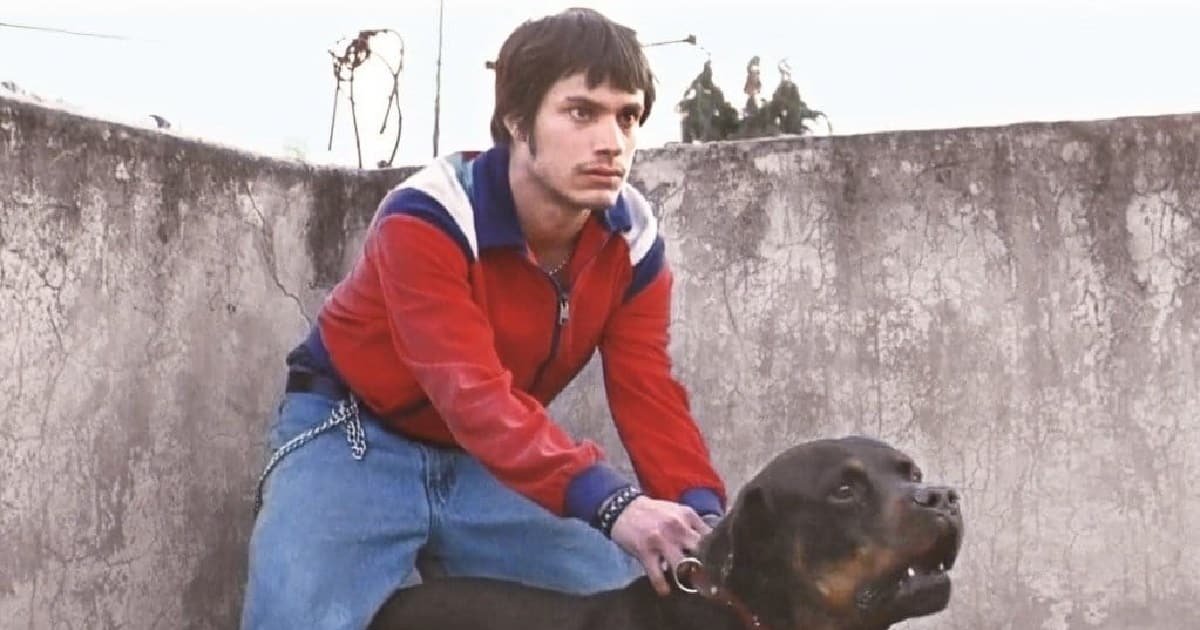 Amores perros celebra 25 años con función en Bellas Artes (Foto de internet)