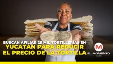 buscan afiliar 25 mil tortillerías en yucatán