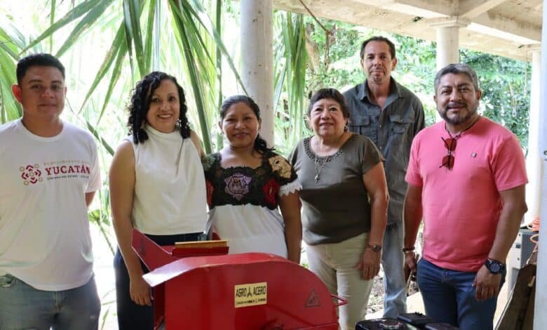 Valladolid impulsa reforestación sustentable con más de 10,000 árboles