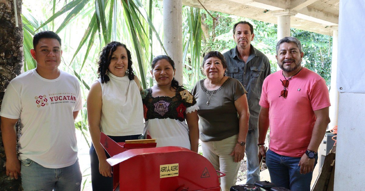 Valladolid impulsa reforestación sustentable con más de 10,000 árboles