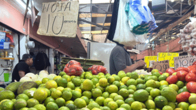 comienza el otoño en los mercados de mérida con abundancia y alza de precios