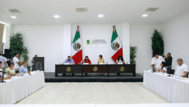 congreso de yucatán impulsa iniciativas en salud, inclusión y derechos de grupos vulnerables