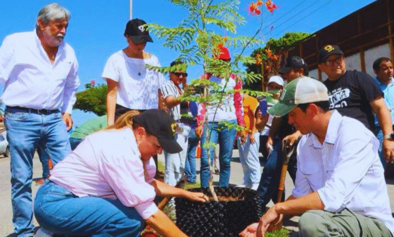 continúa cecilia fortaleciendo una mérida verde