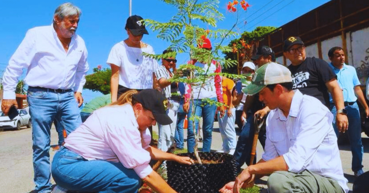 continúa cecilia fortaleciendo una mérida verde