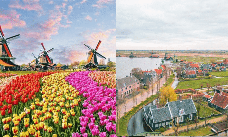 Donde la historia y el futuro se encuentran El modelo de turismo sustentable de Zaanse Schans