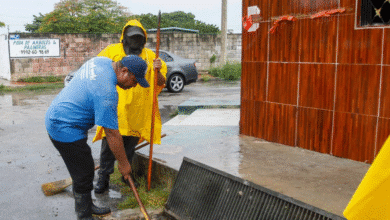 en mérida se roban hasta 60 rejillas al mes