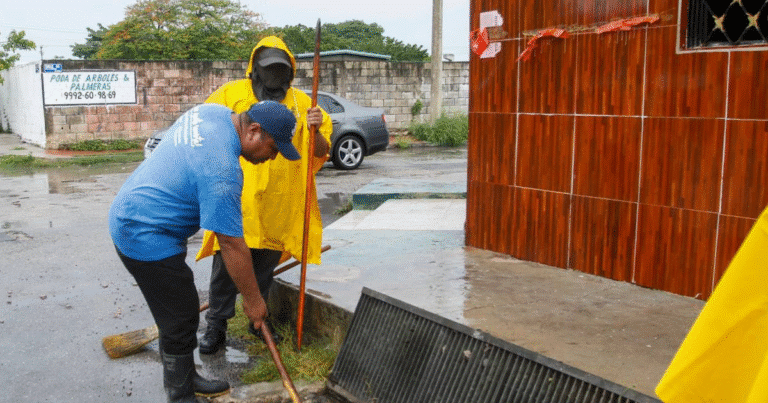 en mérida se roban hasta 60 rejillas al mes