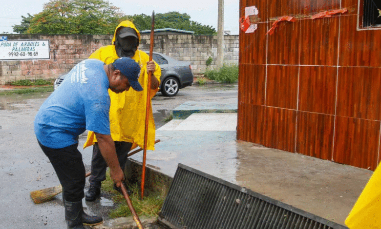 en mérida se roban hasta 60 rejillas al mes