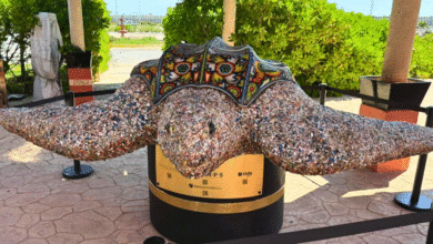 escultura wixárika hecha con plástico marino recibe a cruceristas en progreso