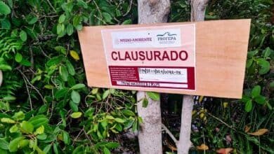 Clausura Profepa relleno ilegal de humedal en la Reserva Estatal de Dzilam, Yucatán