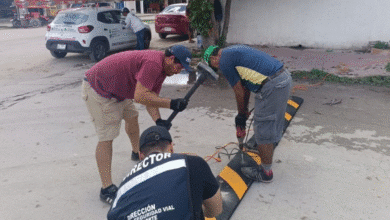 flamboyanes refuerza su seguridad vial