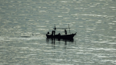 gobierno refuerza vigilancia decomisan 86 toneladas de pesca ilegal en yucatán