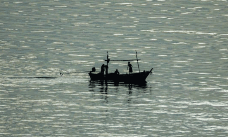 gobierno refuerza vigilancia decomisan 86 toneladas de pesca ilegal en yucatán