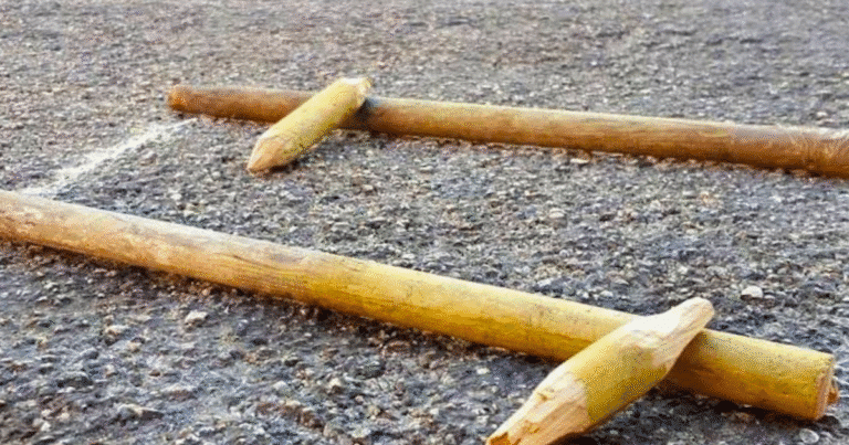 la kimbomba el juego tradicional que vive en torneos modernos en yucatán