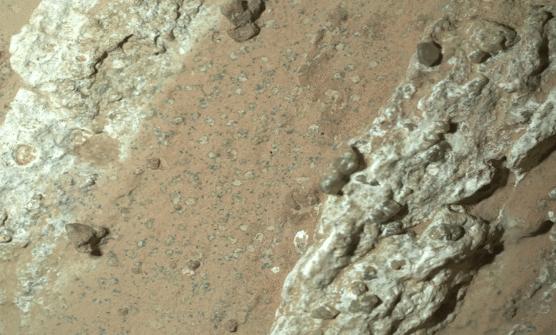 Marte y la posible evidencia de vida la NASA identifica señales prometedoras en roca del Perseverance
