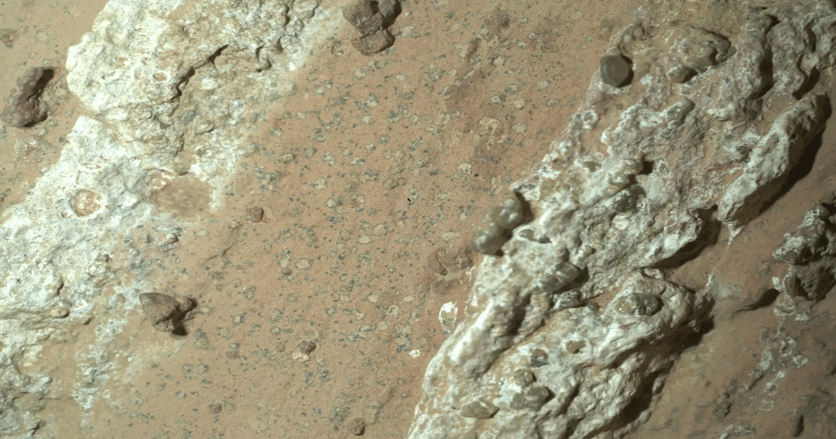 Marte y la posible evidencia de vida la NASA identifica señales prometedoras en roca del Perseverance