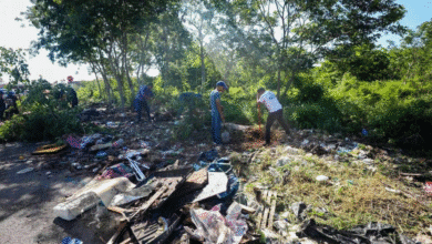más de 2,500 predios baldíos bajo procedimiento en mérida