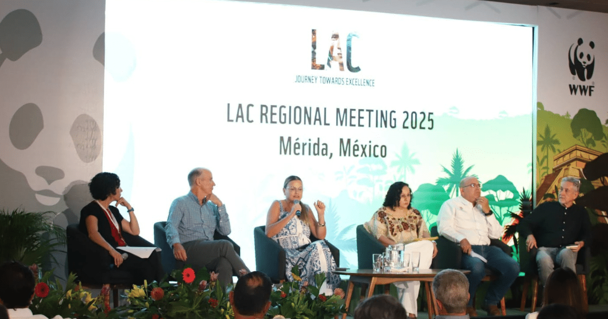mérida impulsa participación ciudadana para un desarrollo urbano sostenible