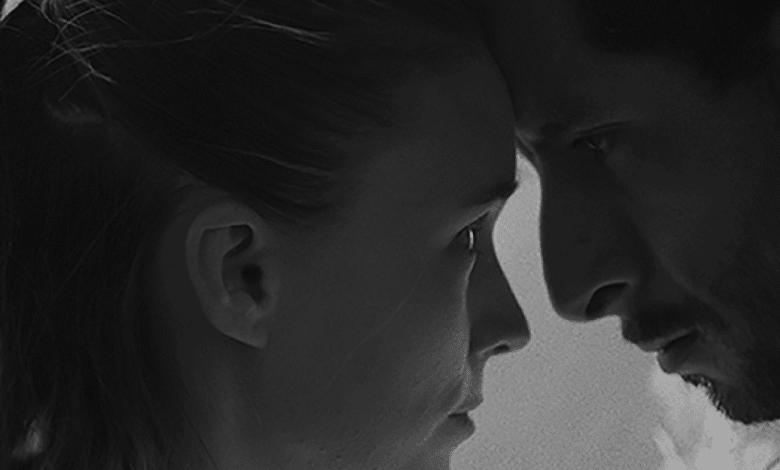 muestra “rumbo al ariel 2025” proyectará cine mexicano en yucatán