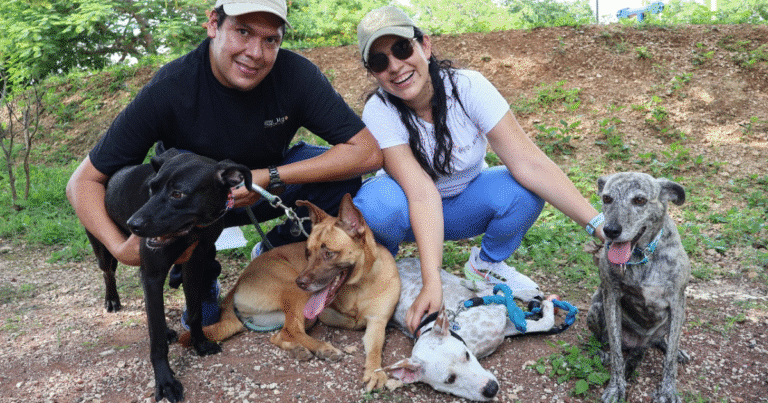 ojos malish una misión de amor y adopción responsable en yucatán