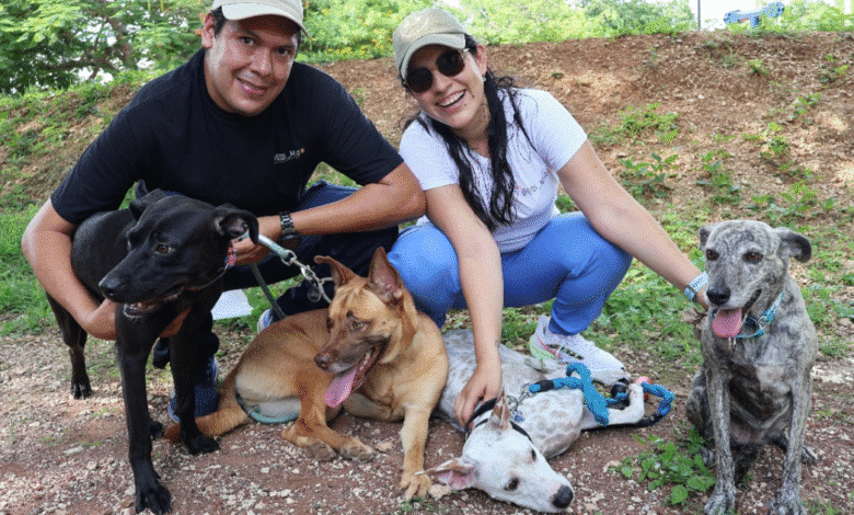 ojos malish una misión de amor y adopción responsable en yucatán