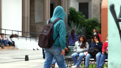 otoño en yucatán frentes fríos y la celebración del janal pixán