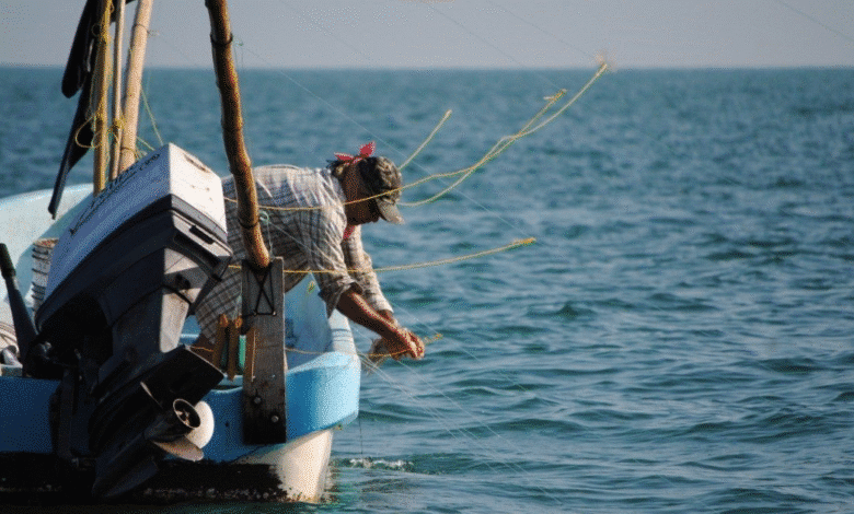 pesca de pulpo en yucatán alcanza 3 mil 500 toneladas y se perfila a meta histórica