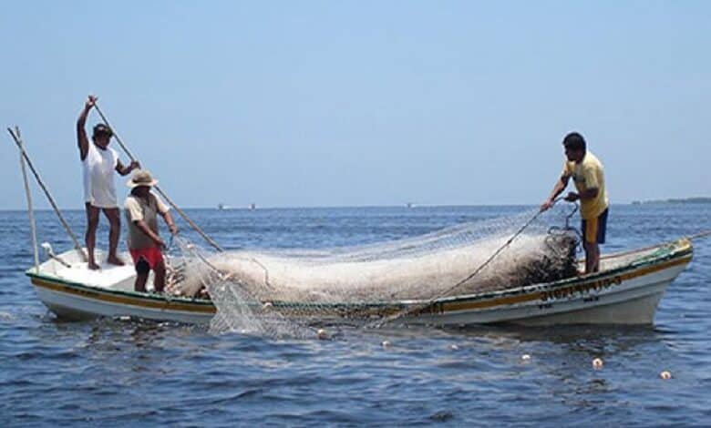 Pesca en Yucatán revive esta temporada