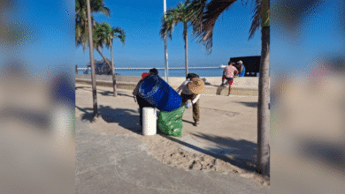 progreso mantiene brigadas de limpieza en las playas