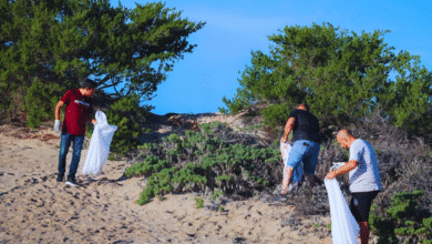 retiran más de 5 toneladas de basura en limpieza simultánea de playas en yucatán