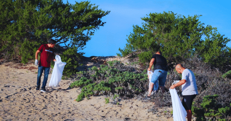 retiran más de 5 toneladas de basura en limpieza simultánea de playas en yucatán