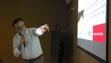 se mantienen banderas en playas de yucatán por marea roja