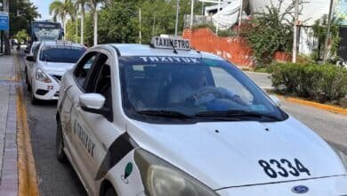 Activan operativo emergente con taxis por falta de unidades en el Circuito Metropolitano